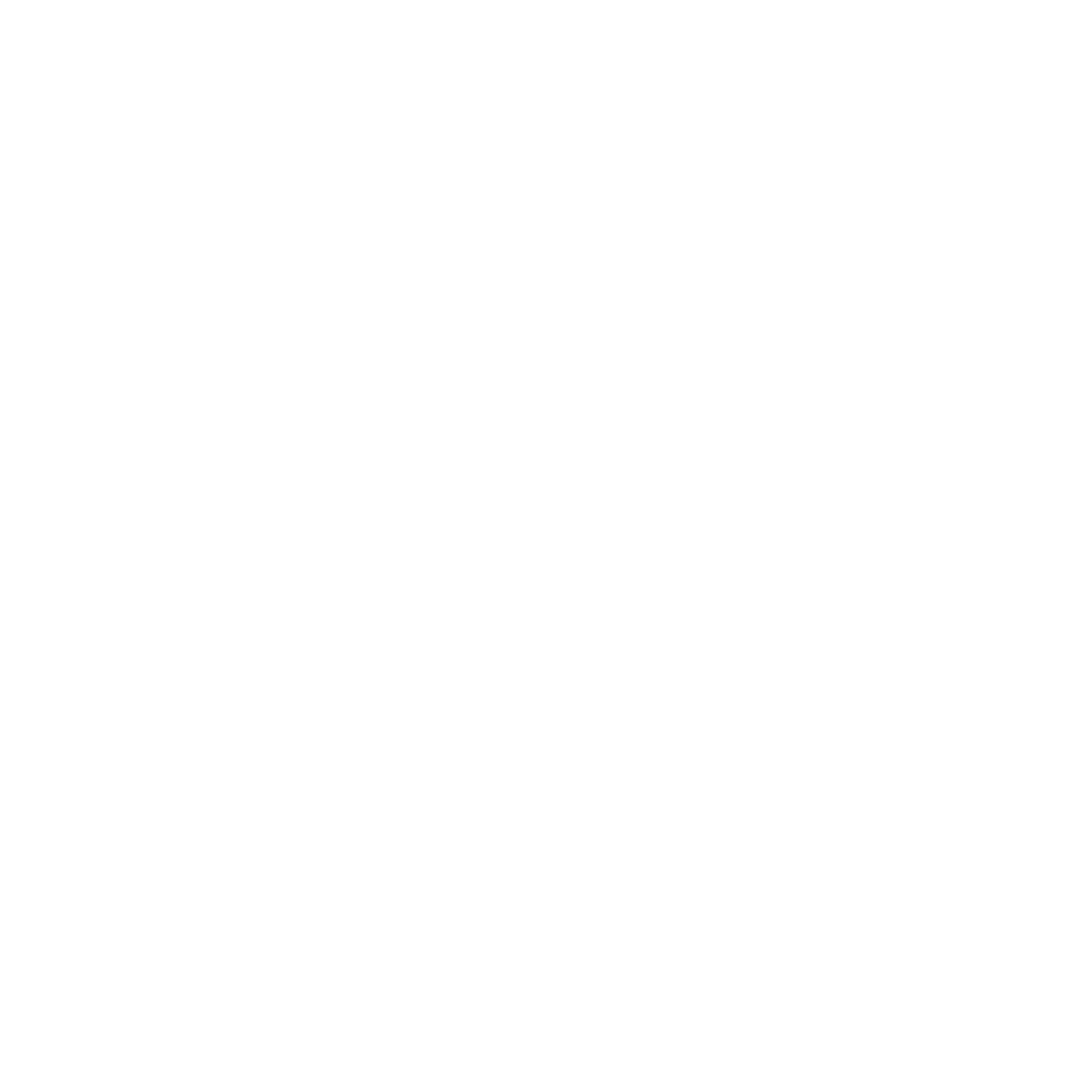 Zina logo